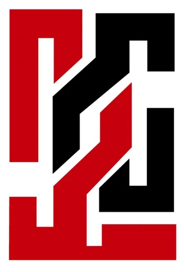 Custom Puff Printing Snowflake Pattern Loose Long Sleeve Women′s Polo Shirts Casual