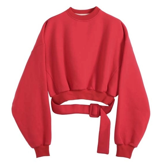 Wholesale Autumn Cotton Oversized Long Sleeve Casual Sweatshirt Women Crop Top Hoodie